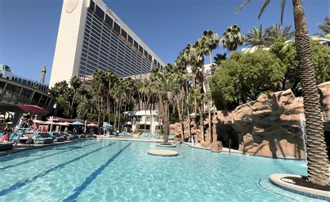 flamingo las vegas pool webcam